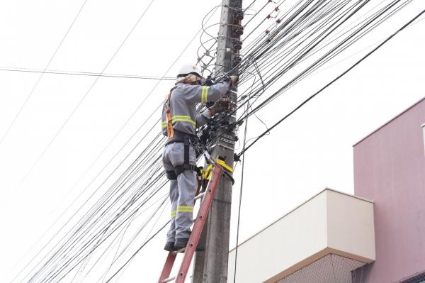 NIF e Procon acompanharão limpeza da rede de energia