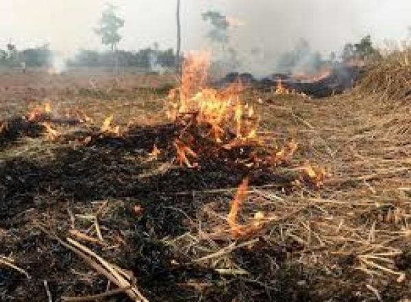 Forte nuvem de fumaça atingiu Sorriso na tarde de sexta-feira (21/07); O motivo seria queimadas em cidades vizinhas