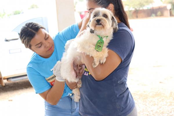 Sorriso: Campanha antirrábica já imunizou mais de 4,3 mil animais; Confira a próximos locais